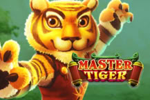 Master Tiger