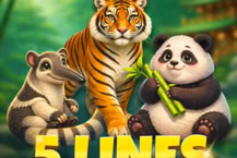 5 Lines