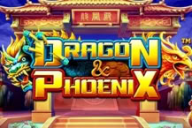 Dragon & Phoenix