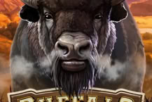 Buffalo Trail Dice