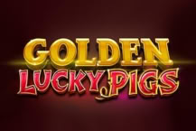 Golden Lucky Pigs
