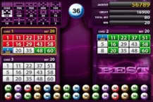 Bingo Best