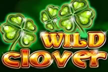 Wild Clover