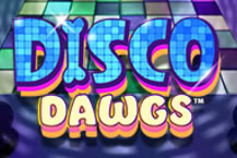 Disco Dawgs 96