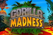 Gorilla Madness 96