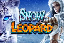 Snow Leopard