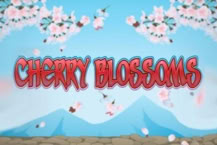 Cherry Blossom