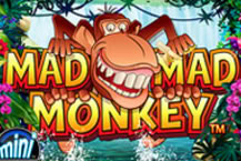 Mad Mad Monkey Mini