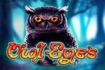 Owl Eyes
