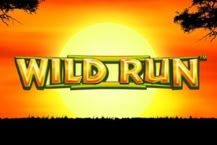 Wild Run