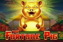 Fortune Pig