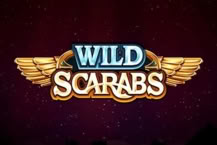 Wild Scarabs