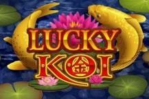 Lucky Koi