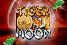 Tiger Moon