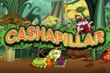 Cashapillar