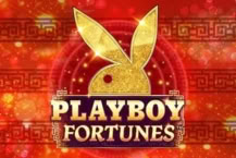Playboy Fortunes
