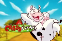 Crazy Cows