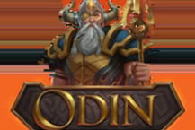 Odin: Protector of the Realms