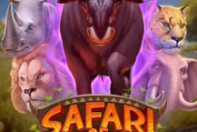 Safari of Wealth