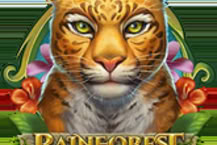Rainforest Magic