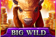 Big Wild Buffalo