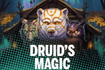 Druid S Magic