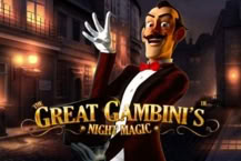 The Great Gambini's Night Magic