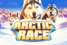 Arctic Race