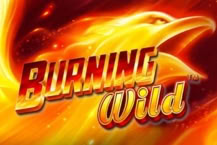 Burning Wild™