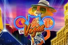 Cat in Vegas