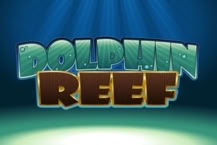 Dolphin Reef