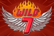 Wild 7