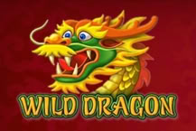 Wild Dragon