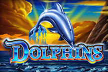 Dolphins