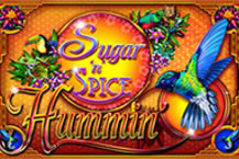 Sugar 'n' Spice