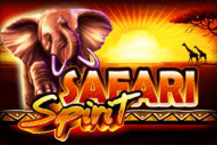 Safari Spirit