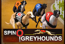 Spino Greyhounds