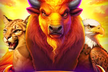 Grand Buffalo Hold and Win