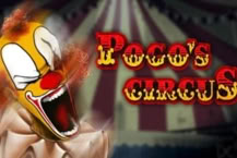 Pogo's Circus