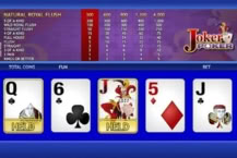 Joker Poker
