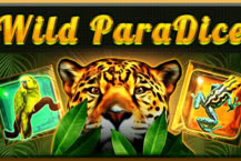 UnicornWildParadise