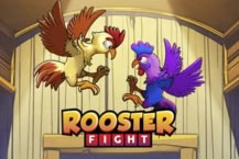 Rooster Fight