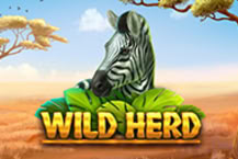 Wild Herd