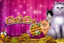 Cutie Cat Crazy Chicken Shooter