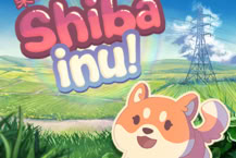 Shiba Inu