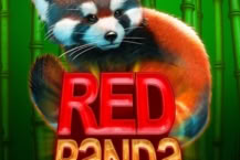 Red Panda Paradise