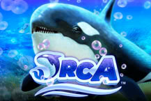 Orca