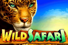 Wild Safari