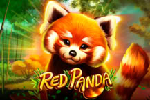 Red Panda