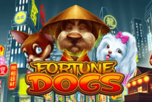 Fortune Dogs